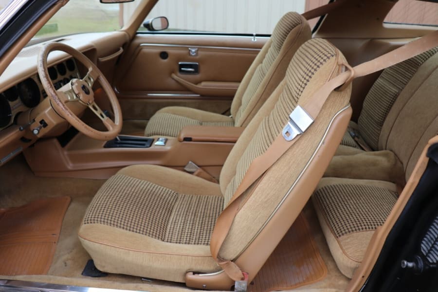 1979 Pontiac Trans Am SE