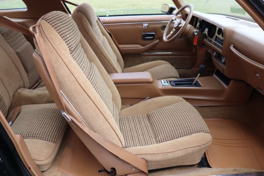 1979 Pontiac Trans Am SE